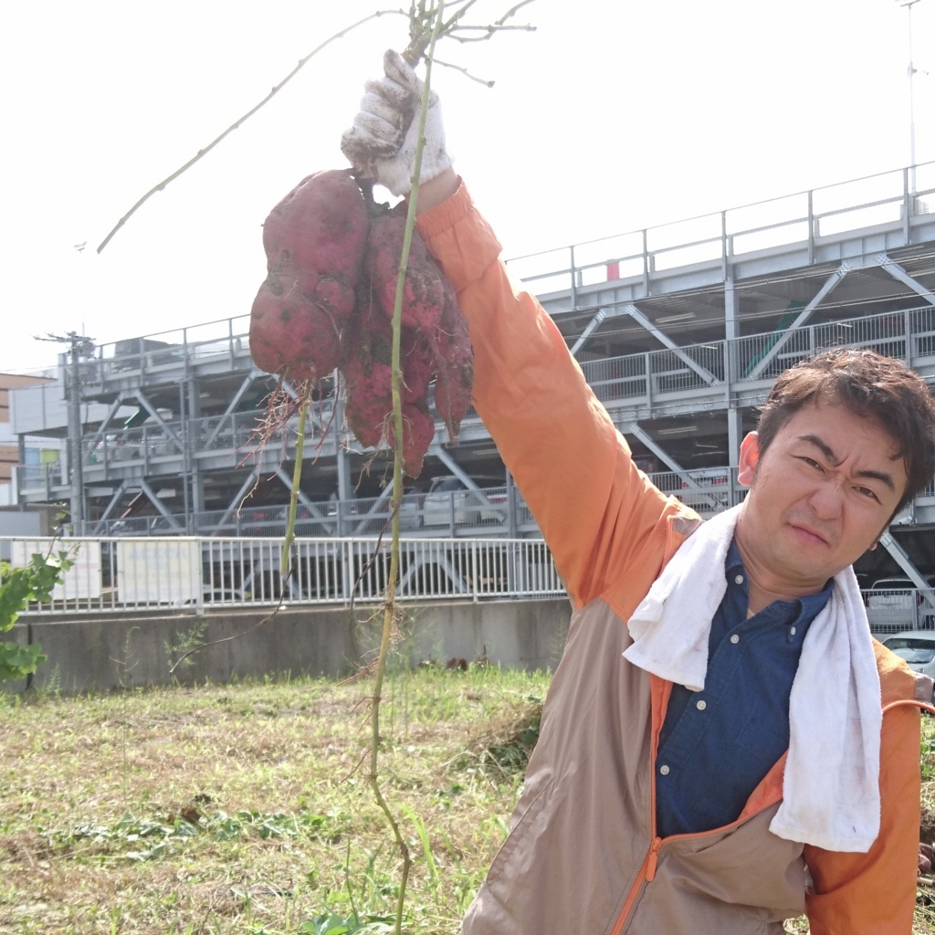 f:id:maido-doumo-naoyadesu:20161011134308j:plain f:id:maido-doumo-naoyadesu:20161011134308j:plain