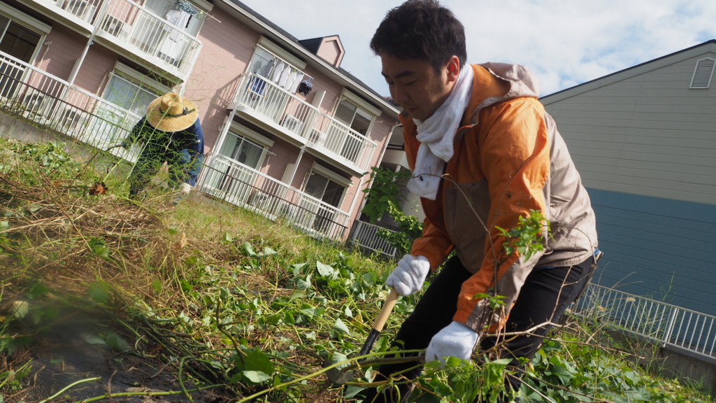 f:id:maido-doumo-naoyadesu:20161011135439j:plain f:id:maido-doumo-naoyadesu:20161011135439j:plain