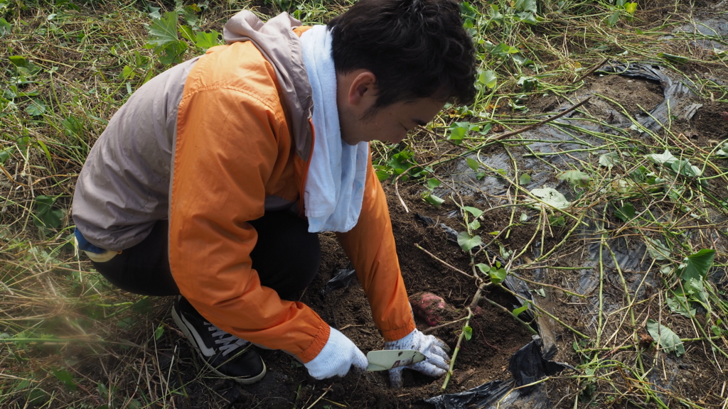 f:id:maido-doumo-naoyadesu:20161011135449j:plain f:id:maido-doumo-naoyadesu:20161011135449j:plain