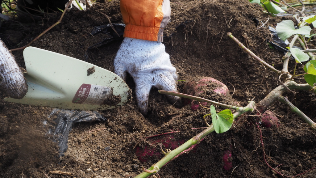 f:id:maido-doumo-naoyadesu:20161011135514j:plain f:id:maido-doumo-naoyadesu:20161011135514j:plain