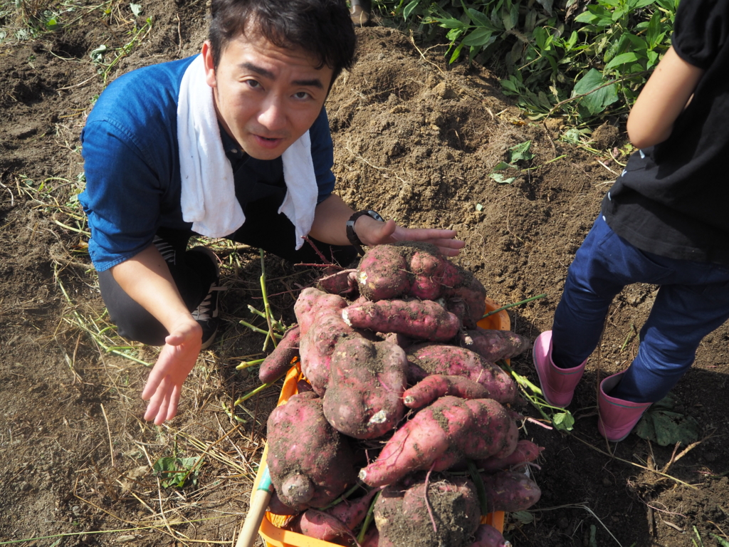 f:id:maido-doumo-naoyadesu:20161011135932j:plain f:id:maido-doumo-naoyadesu:20161011135932j:plain