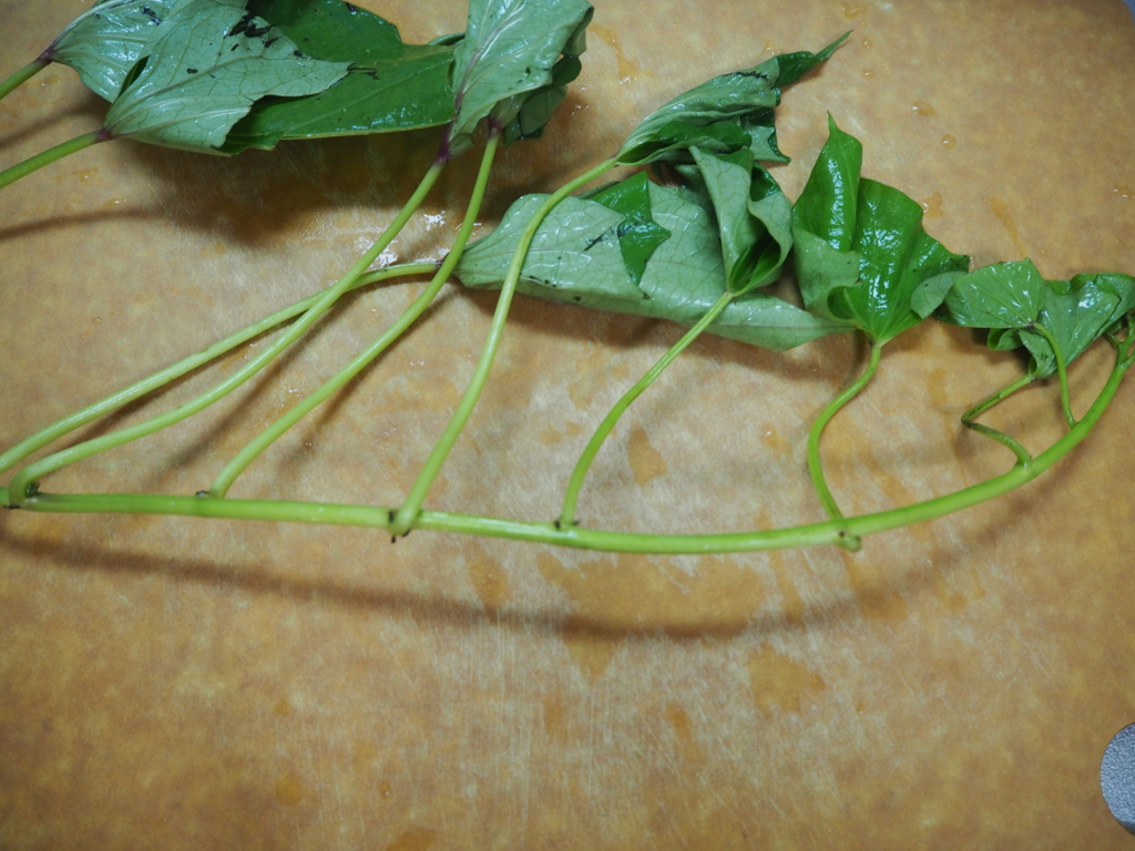 f:id:maido-doumo-naoyadesu:20161011143025j:plain f:id:maido-doumo-naoyadesu:20161011143025j:plain