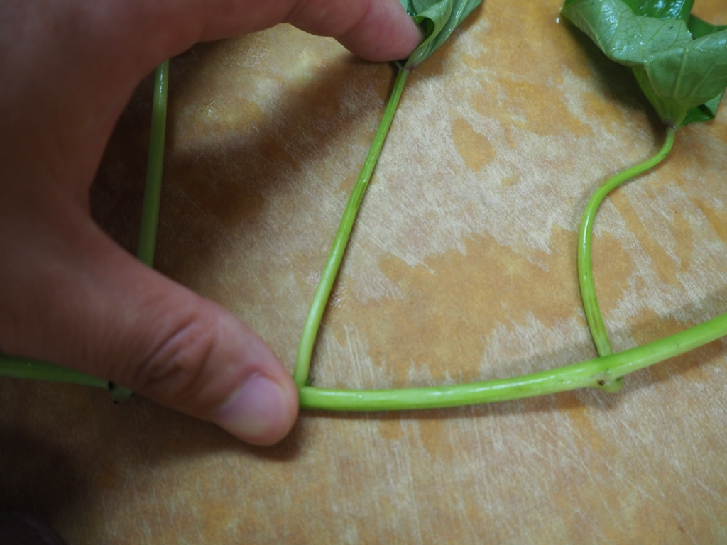 f:id:maido-doumo-naoyadesu:20161011143034j:plain f:id:maido-doumo-naoyadesu:20161011143034j:plain