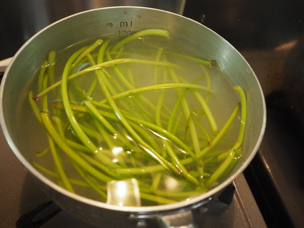 f:id:maido-doumo-naoyadesu:20161011143044j:plain f:id:maido-doumo-naoyadesu:20161011143044j:plain