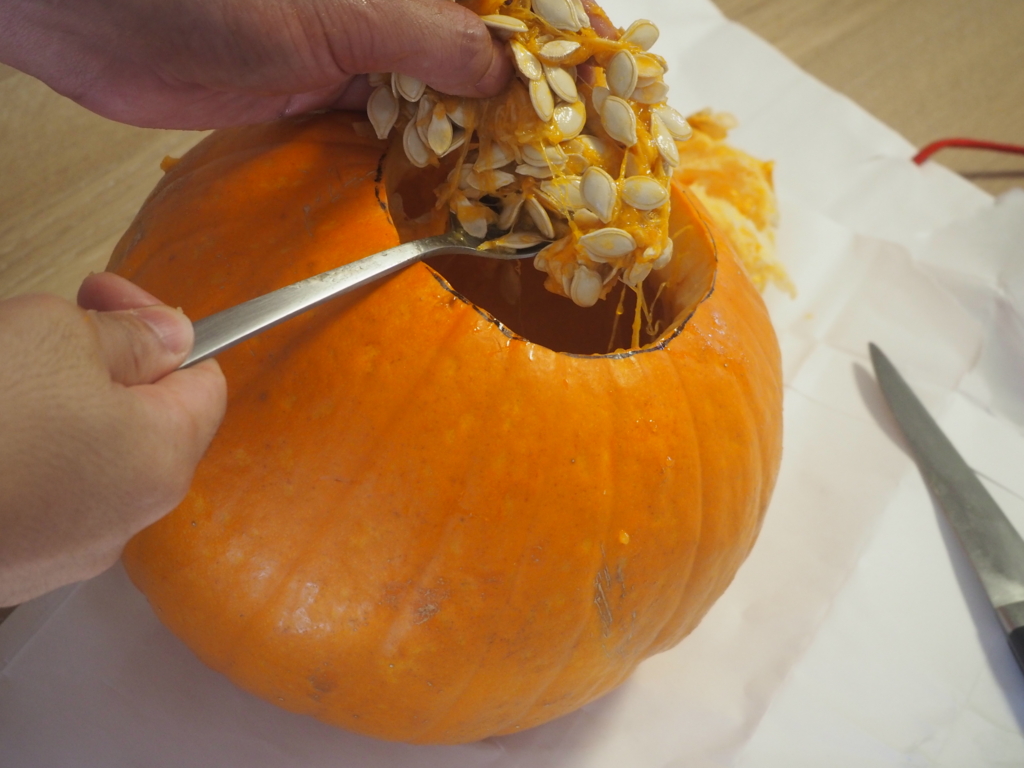 f:id:maido-doumo-naoyadesu:20161021193616j:plain f:id:maido-doumo-naoyadesu:20161021193616j:plain