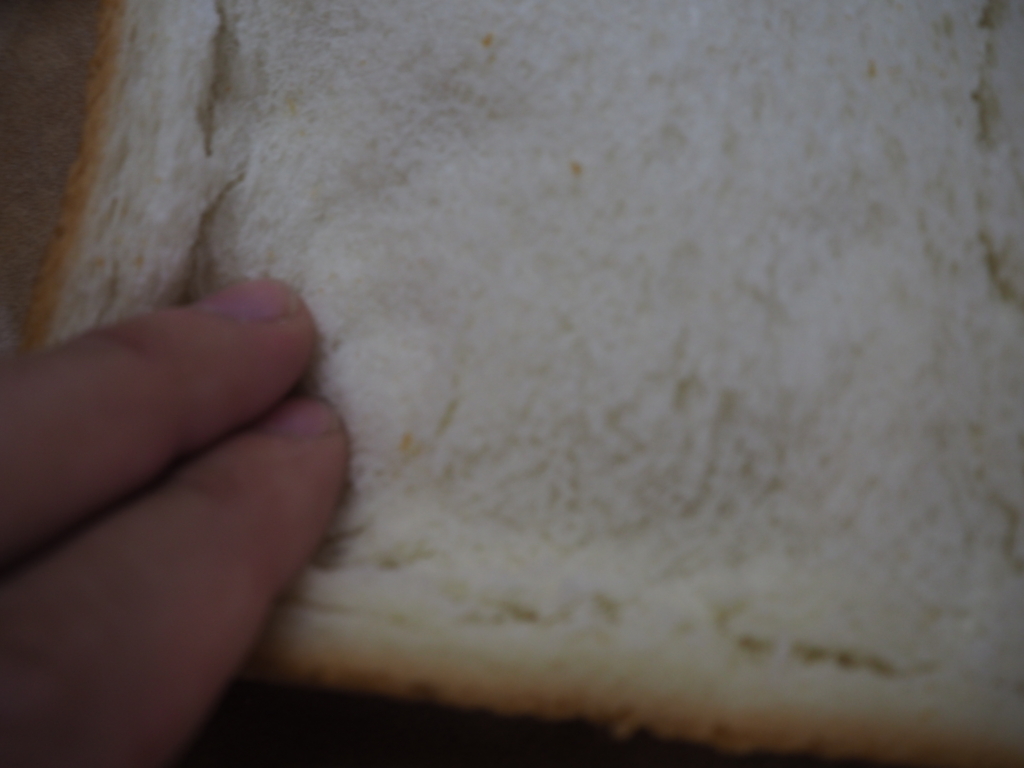 f:id:maido-doumo-naoyadesu:20161109142139j:plain f:id:maido-doumo-naoyadesu:20161109142139j:plain