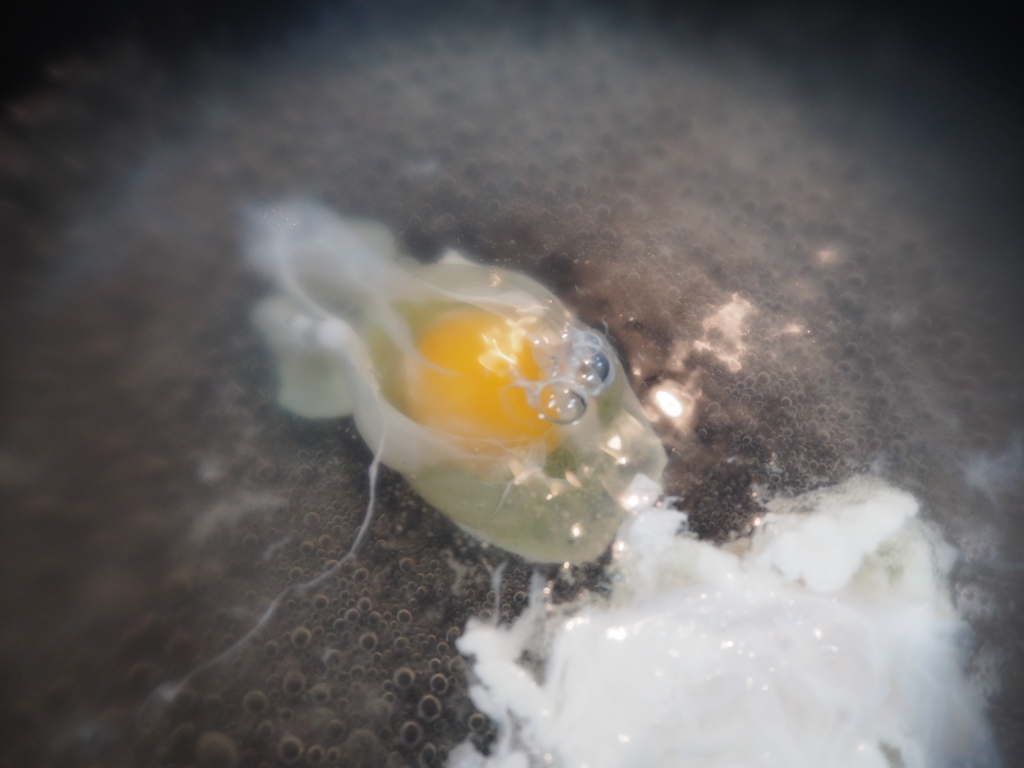 f:id:maido-doumo-naoyadesu:20170123140331j:plain