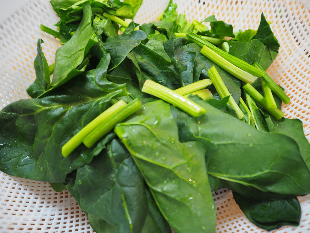 f:id:maido-doumo-naoyadesu:20170203113440j:plain f:id:maido-doumo-naoyadesu:20170203113440j:plain