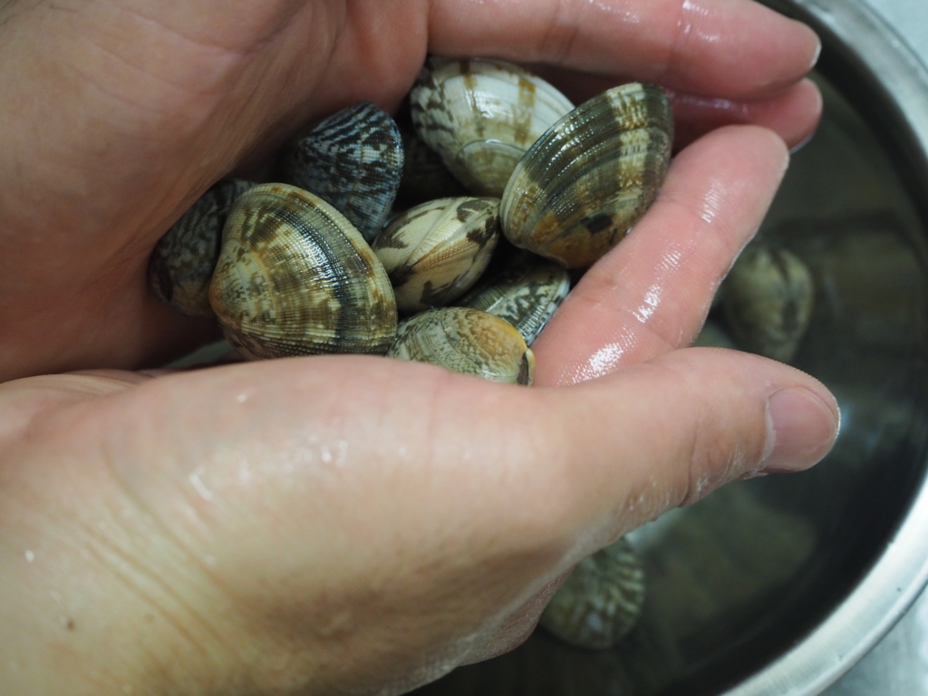 f:id:maido-doumo-naoyadesu:20170301194403j:plain