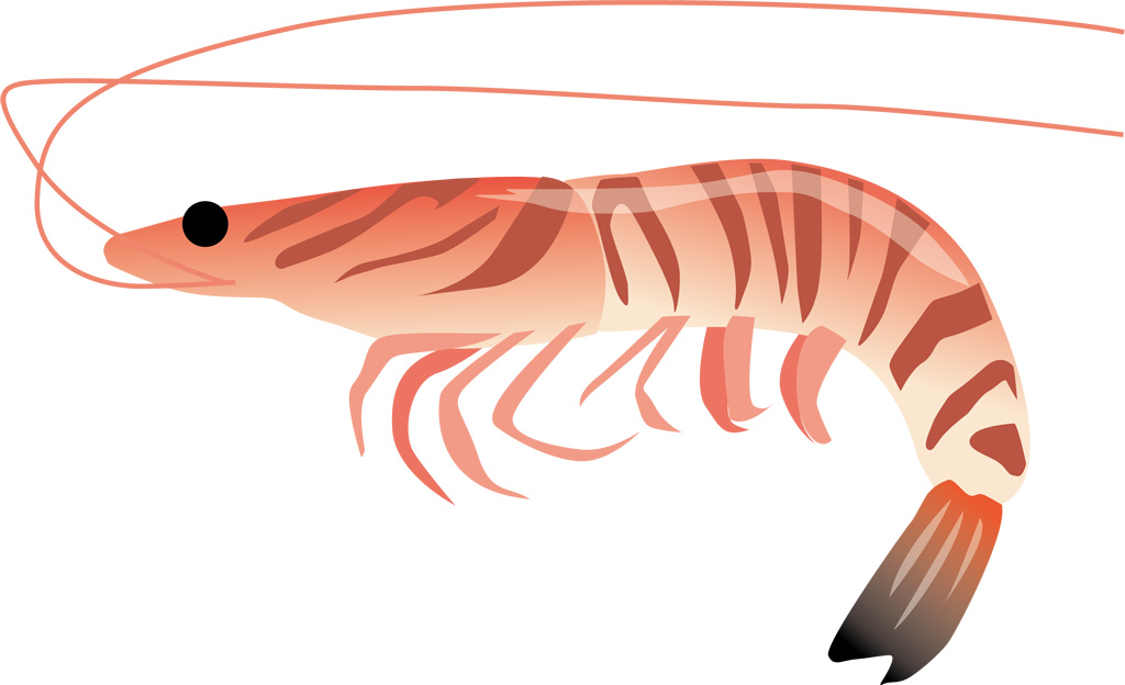 f:id:maido-doumo-naoyadesu:20170324110852j:plain