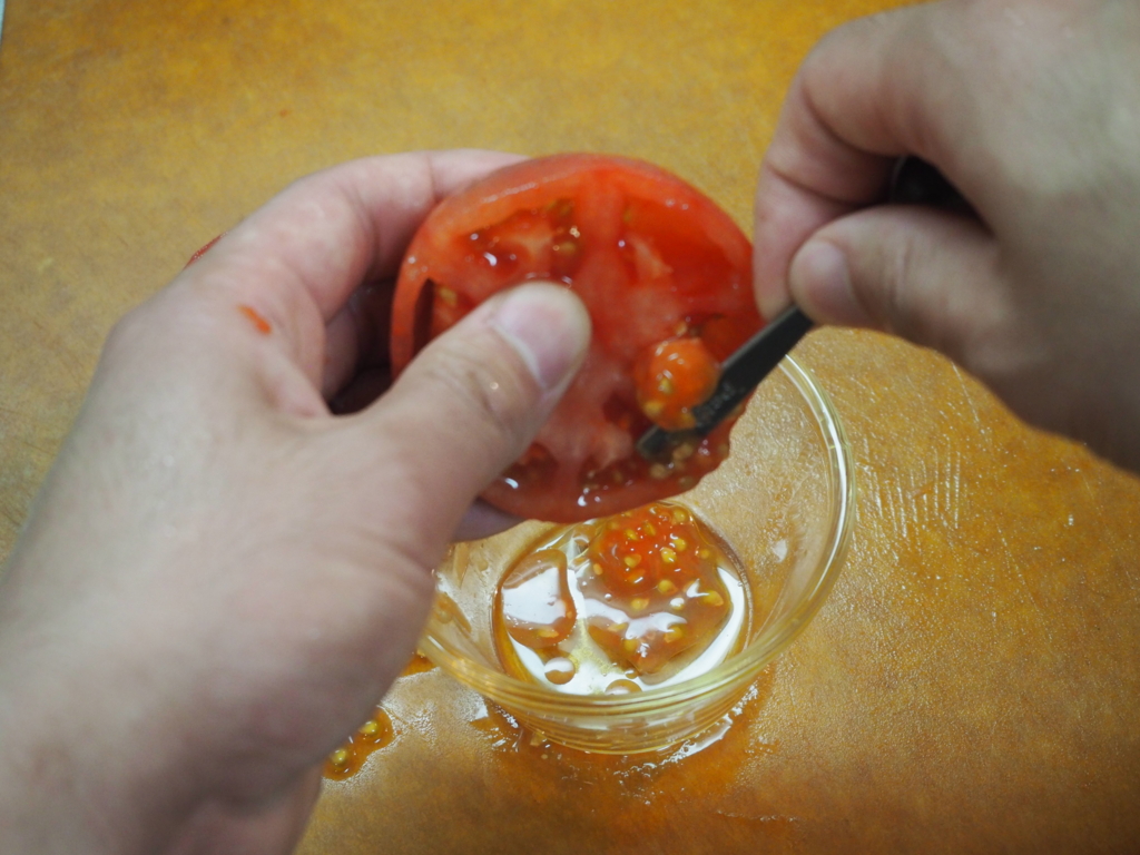 f:id:maido-doumo-naoyadesu:20170404145800j:plain