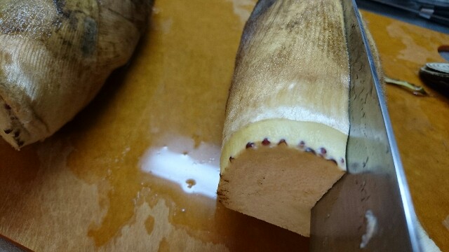 f:id:maido-doumo-naoyadesu:20170419214742j:plain