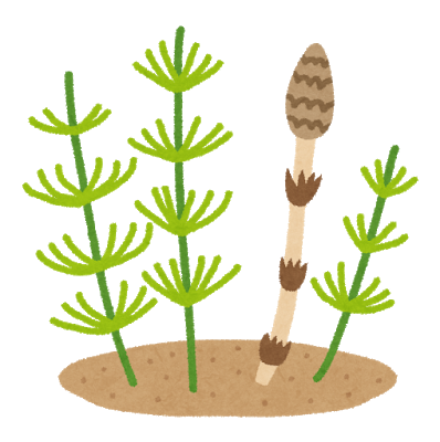 f:id:maido-doumo-naoyadesu:20180314155750p:plain