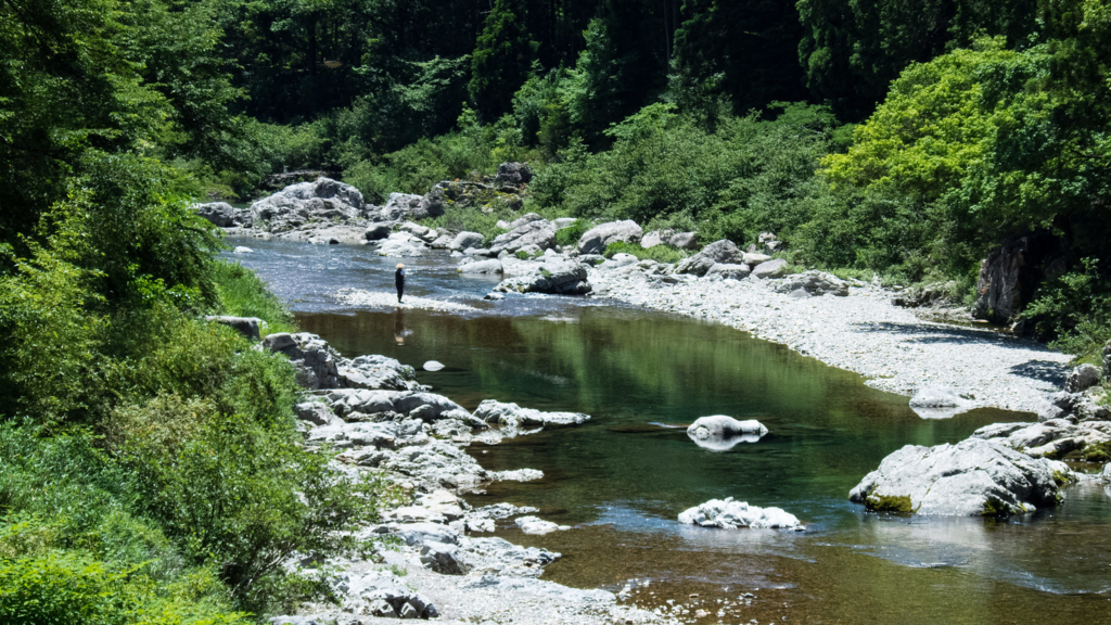 f:id:maido-doumo-naoyadesu:20180325174236j:plain