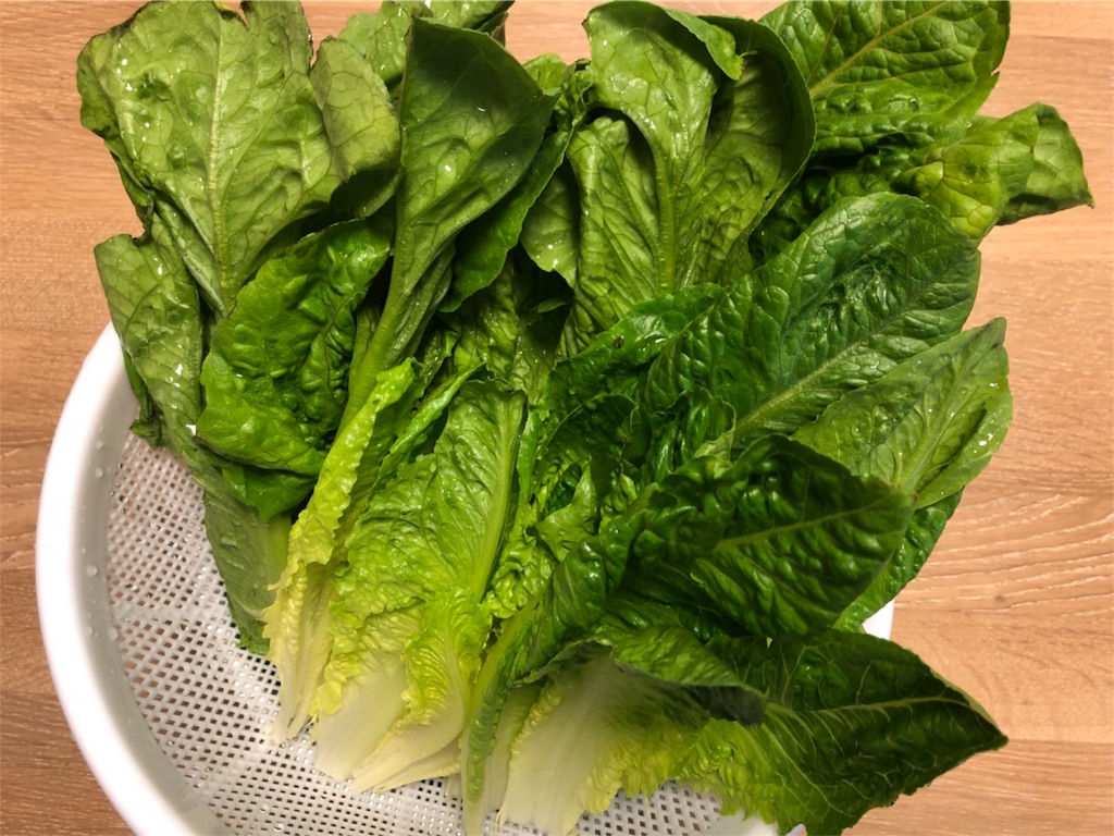 f:id:maido-doumo-naoyadesu:20180416151240j:image f:id:maido-doumo-naoyadesu:20180416151240j:image