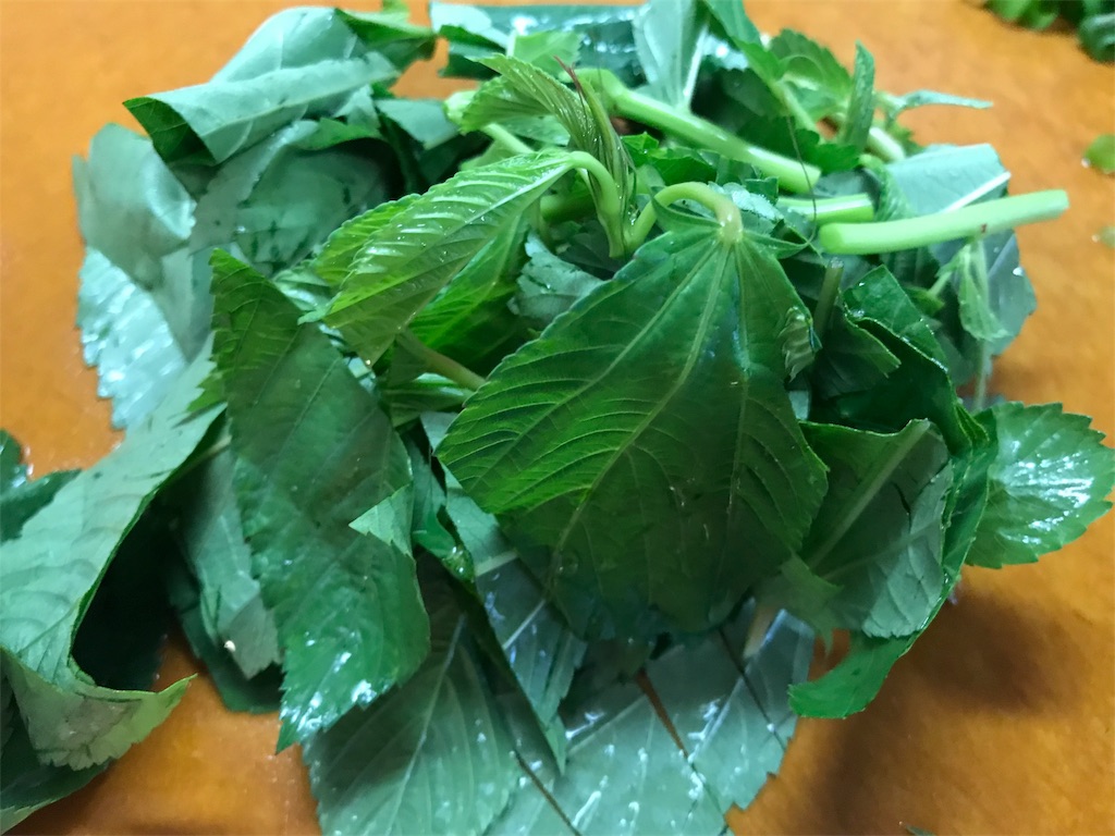 f:id:maido-doumo-naoyadesu:20180715155641j:plain f:id:maido-doumo-naoyadesu:20180715155641j:plain