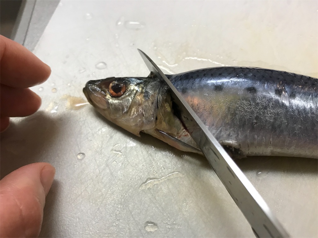 f:id:maido-doumo-naoyadesu:20180719181746j:plain