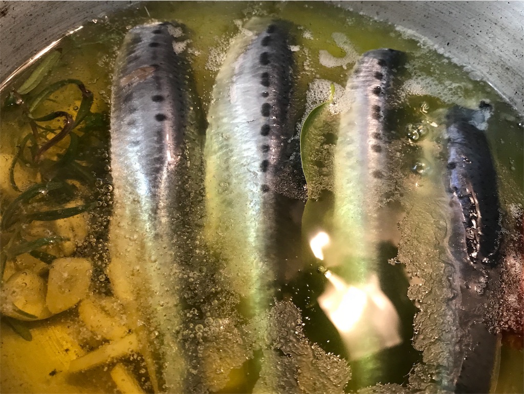 f:id:maido-doumo-naoyadesu:20180719181843j:plain