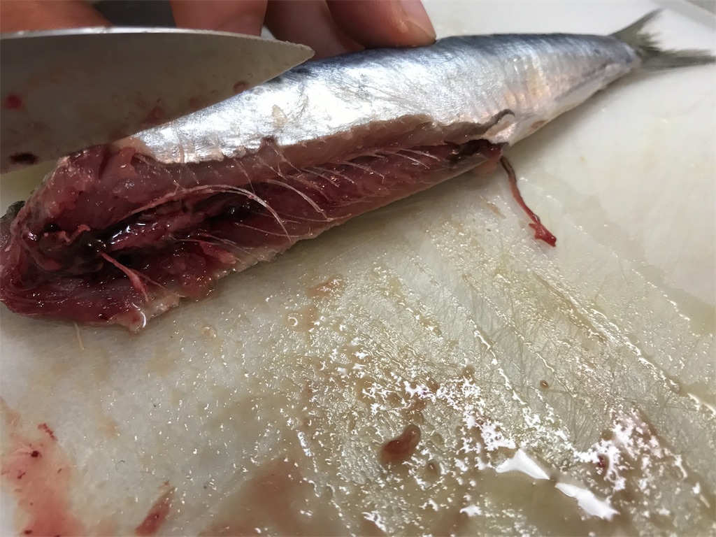 f:id:maido-doumo-naoyadesu:20180719183054j:plain