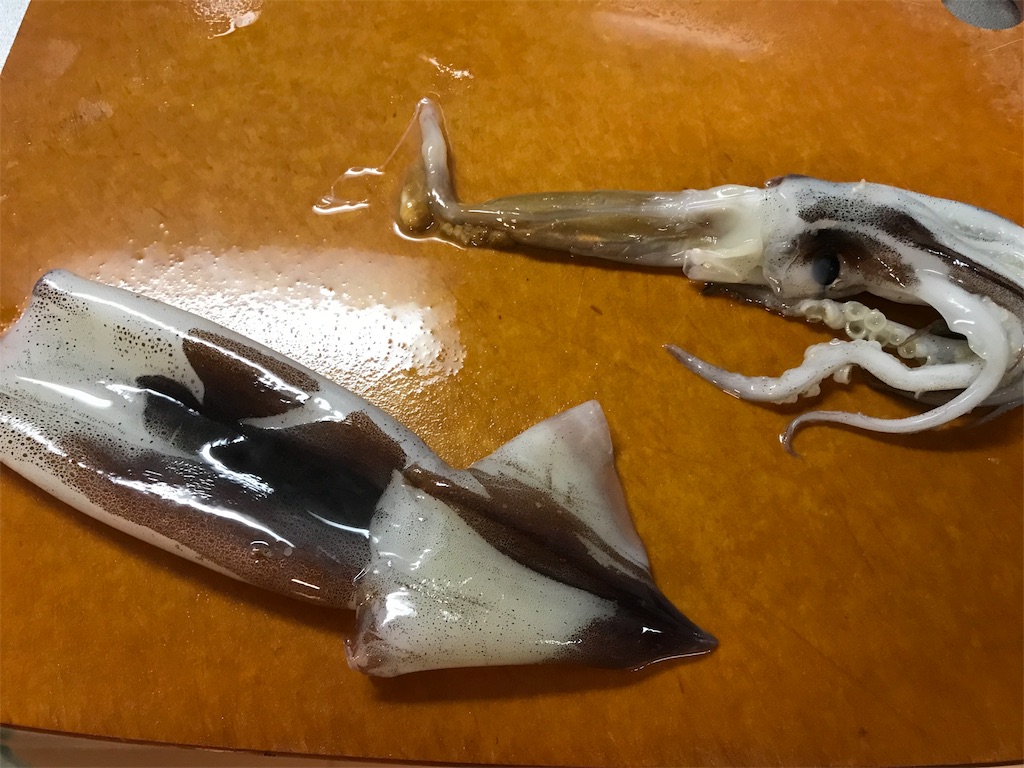 f:id:maido-doumo-naoyadesu:20180725164805j:plain f:id:maido-doumo-naoyadesu:20180725164805j:plain