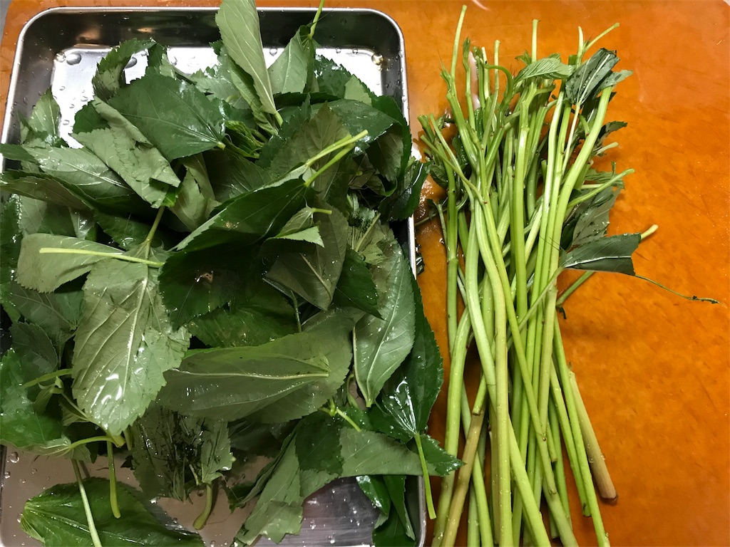 f:id:maido-doumo-naoyadesu:20180910001825j:plain