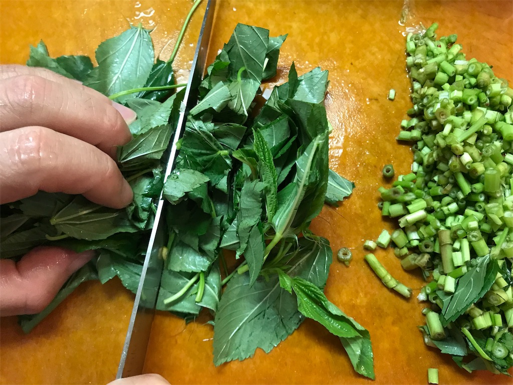 f:id:maido-doumo-naoyadesu:20180910001840j:plain