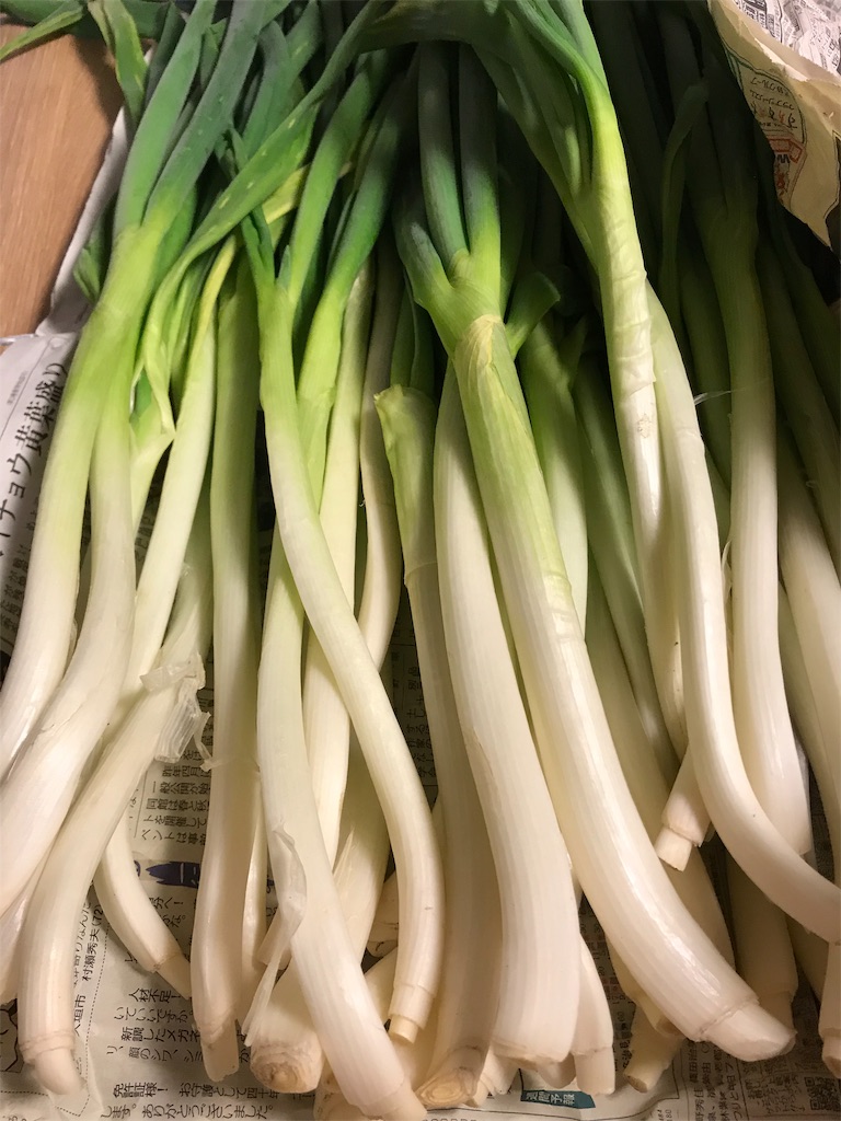 f:id:maido-doumo-naoyadesu:20190222144122j:plain