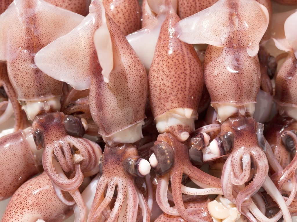 f:id:maido-doumo-naoyadesu:20190307204411j:plain