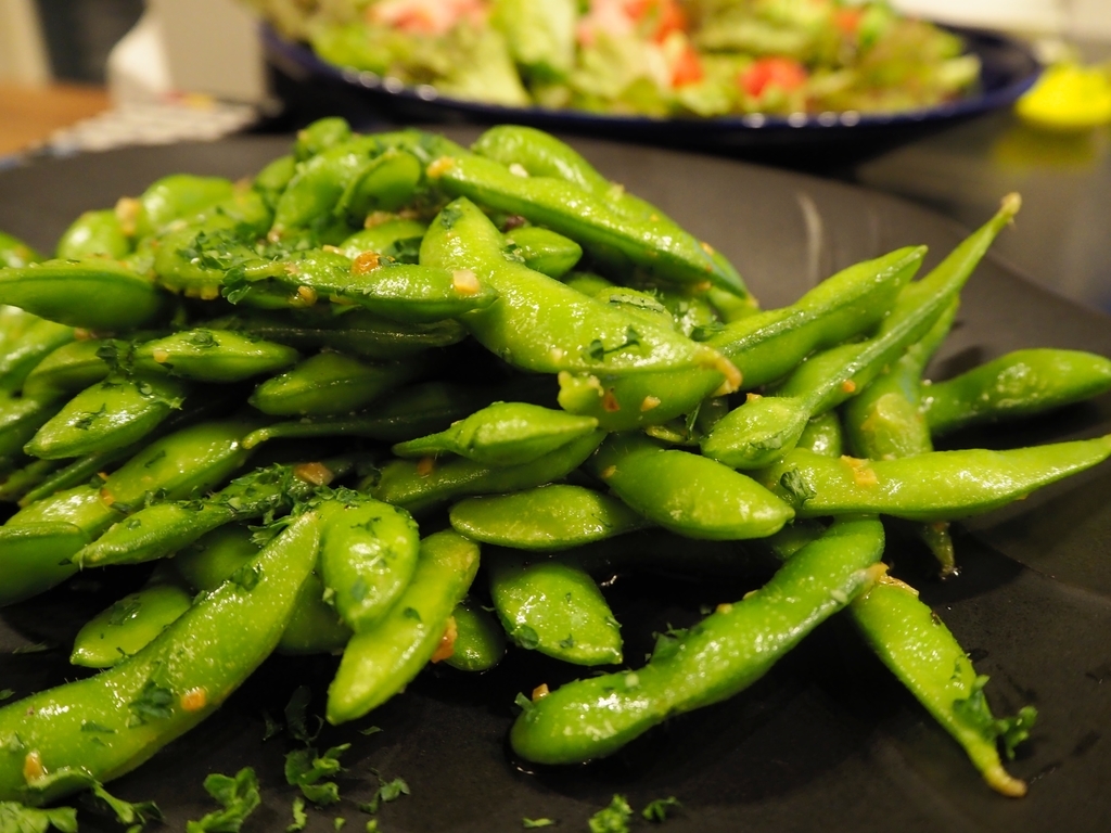 f:id:maido-doumo-naoyadesu:20190309192642j:plain f:id:maido-doumo-naoyadesu:20190309192642j:plain