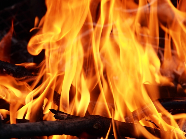 f:id:maido-doumo-naoyadesu:20190309194307j:plain f:id:maido-doumo-naoyadesu:20190309194307j:plain