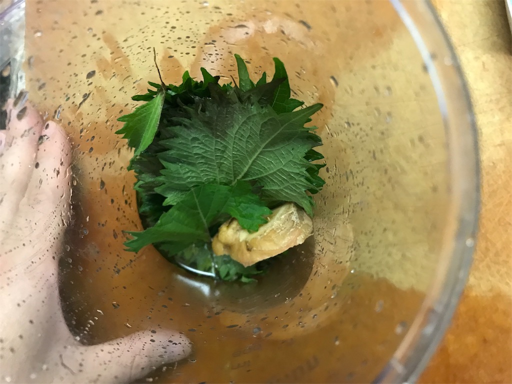 f:id:maido-doumo-naoyadesu:20190712152443j:plain