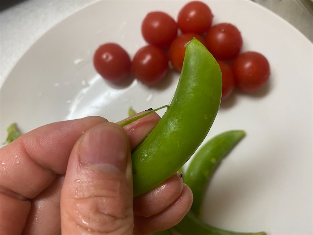 f:id:maido-doumo-naoyadesu:20200303221626j:plain f:id:maido-doumo-naoyadesu:20200303221626j:plain