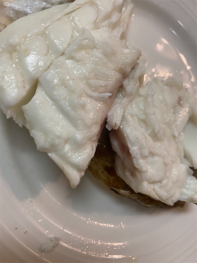 f:id:maido-doumo-naoyadesu:20200427211017j:plain f:id:maido-doumo-naoyadesu:20200427211017j:plain