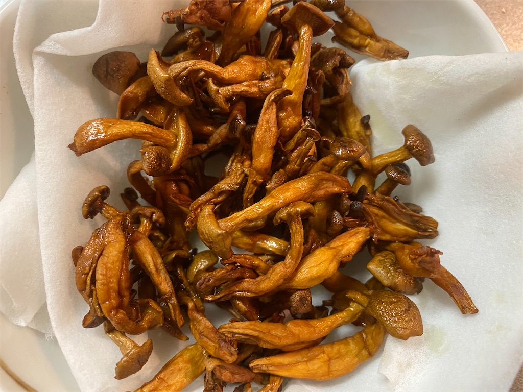 f:id:maido-doumo-naoyadesu:20200927210339j:plain