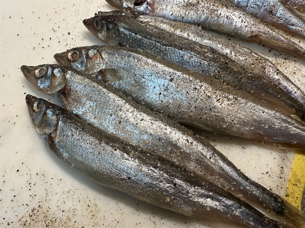 f:id:maido-doumo-naoyadesu:20241004225855j:image