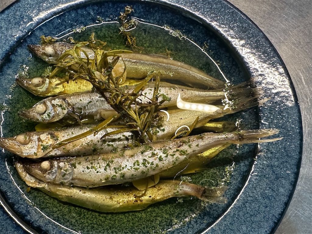 f:id:maido-doumo-naoyadesu:20241004230009j:image